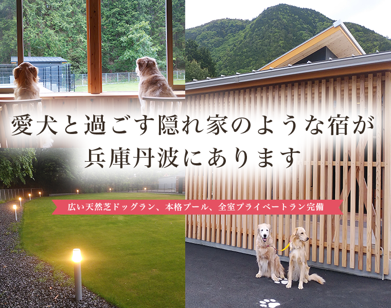 愛犬と過ごす隠れ家のような宿が兵庫丹波にあります 広い天然芝ドッグラン、本格プール、全室プライベートラン完備
