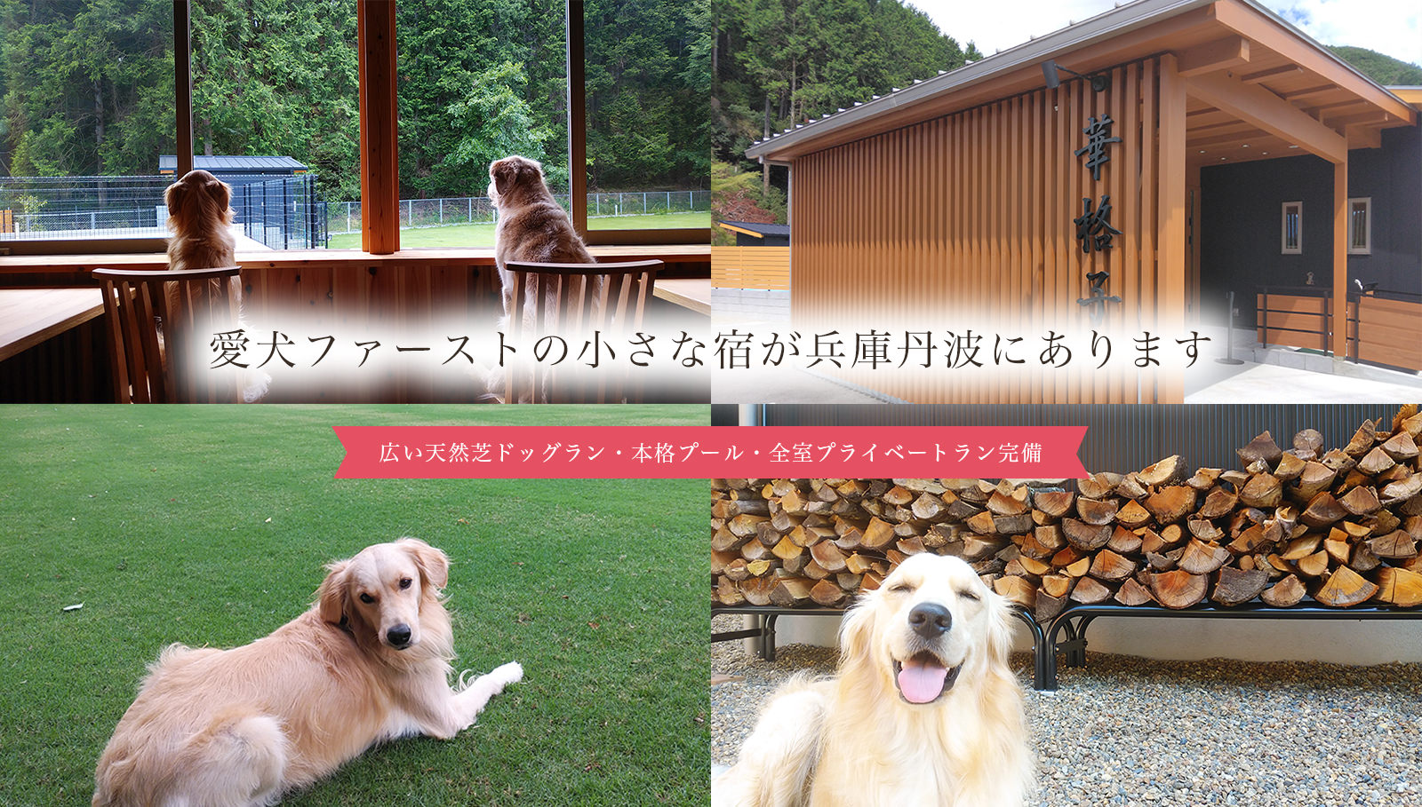 愛犬ファーストの小さな宿が兵庫丹波にあります 広い天然芝ドッグラン、本格プール、全室プライベートラン完備